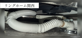 IMG_5597.png